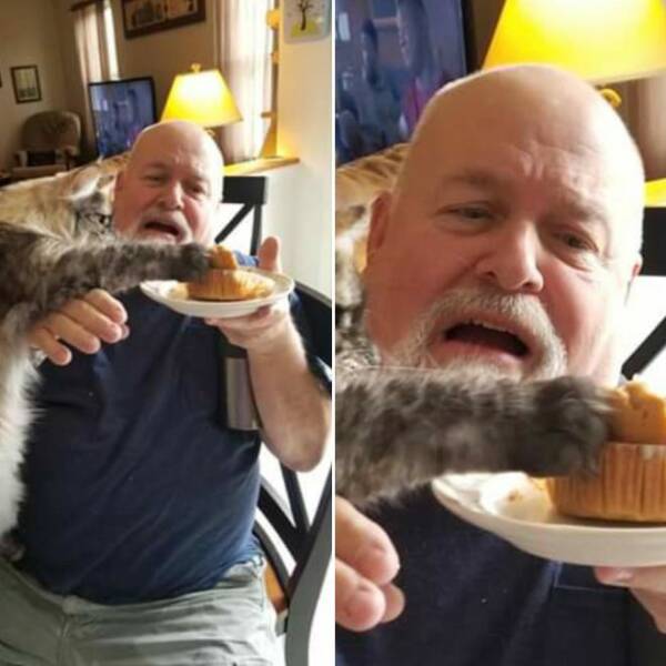 Daily Picdump