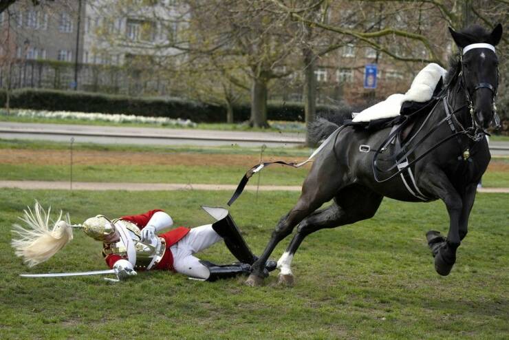 Daily Picdump