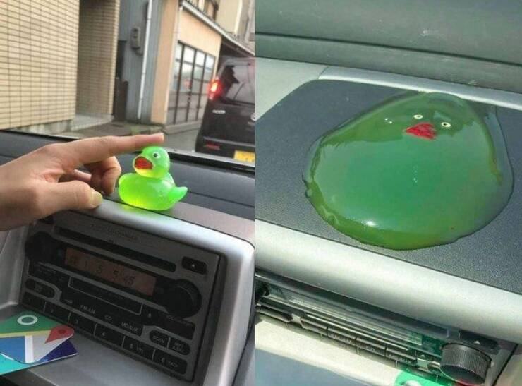 Daily Picdump