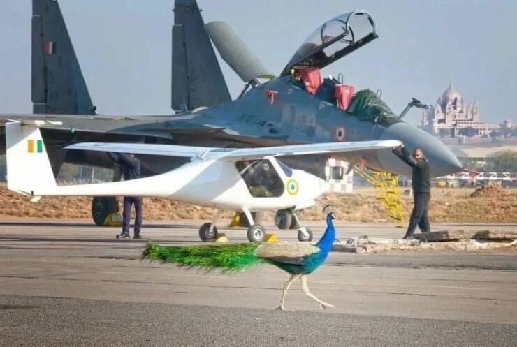 Daily Picdump