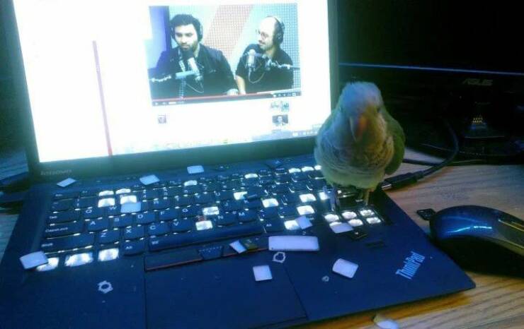 Daily Picdump