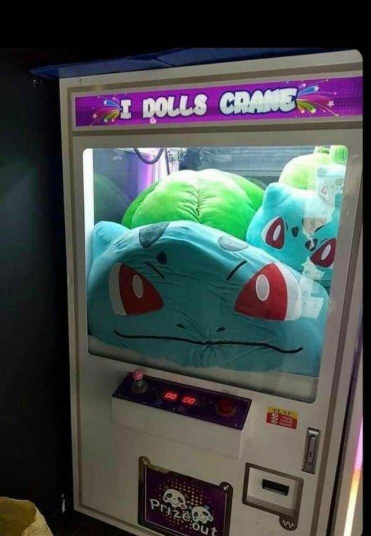 Daily Picdump