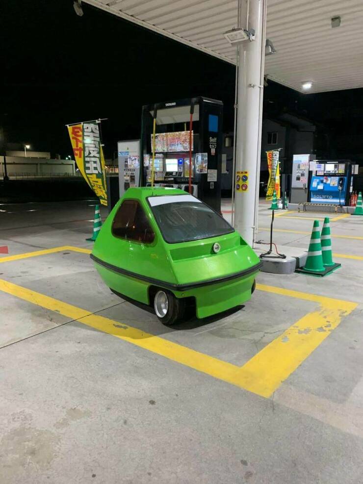 Daily Picdump