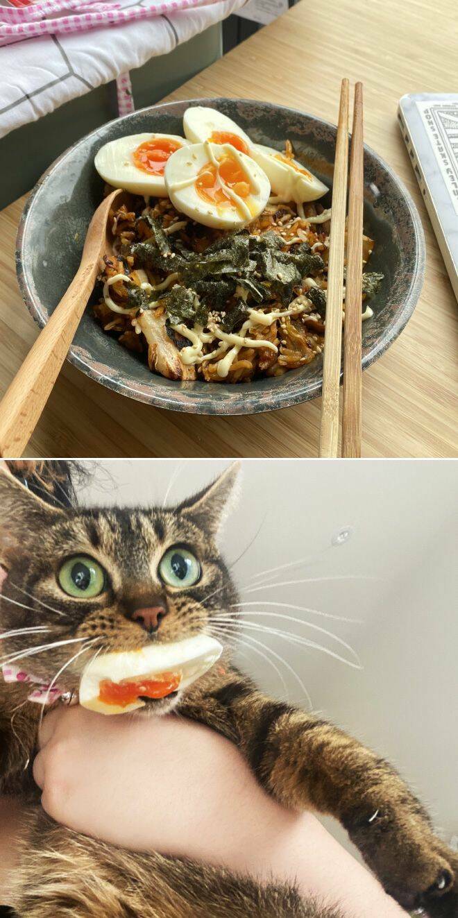 Daily Picdump