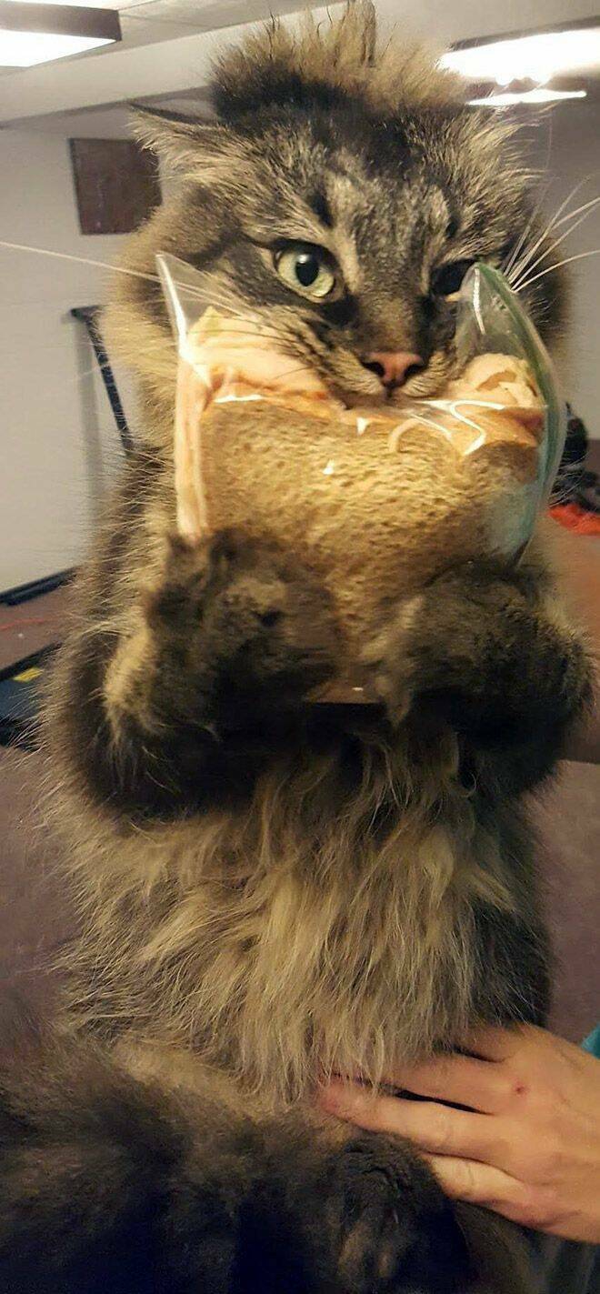 Daily Picdump