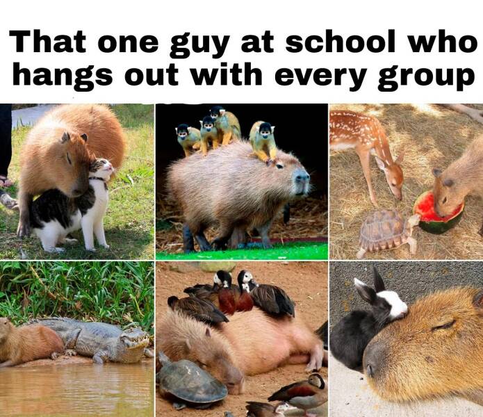 Funny Picdump