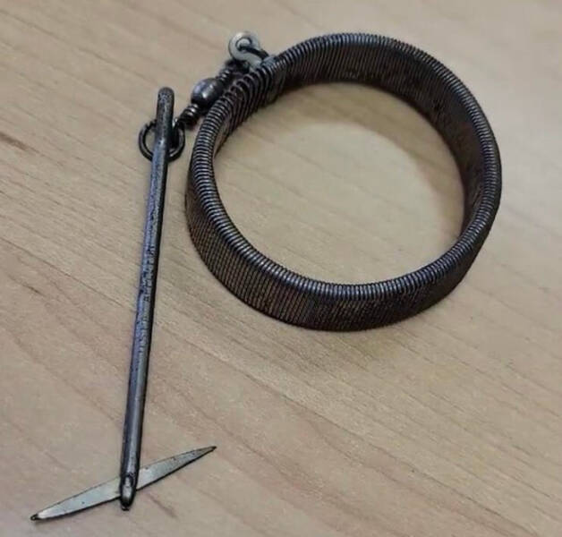 Hey, What’s That?!