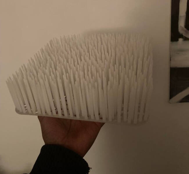 Hey, What’s That?!