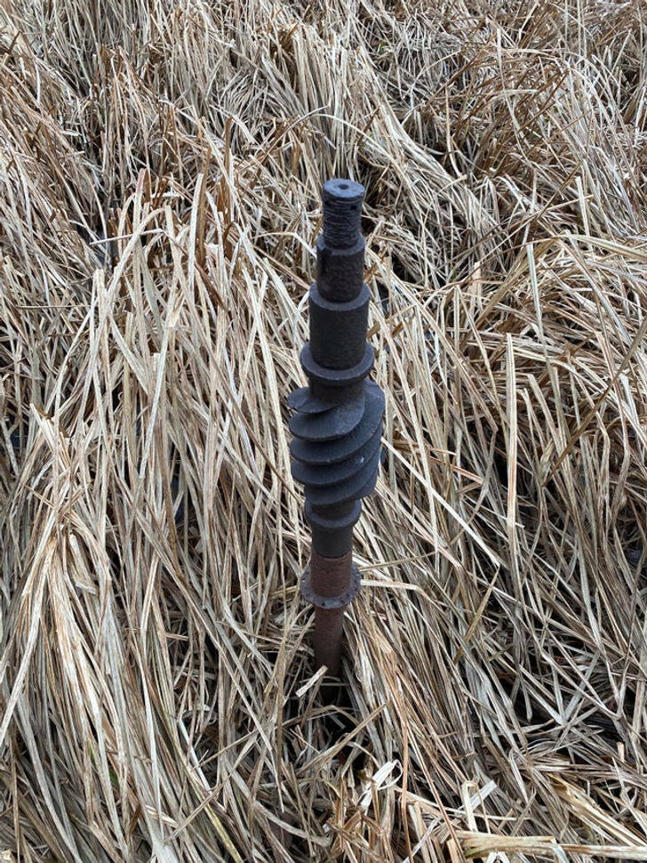 Hey, What’s That?!