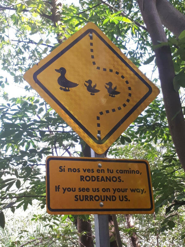 How Hard Can English Be, Right?