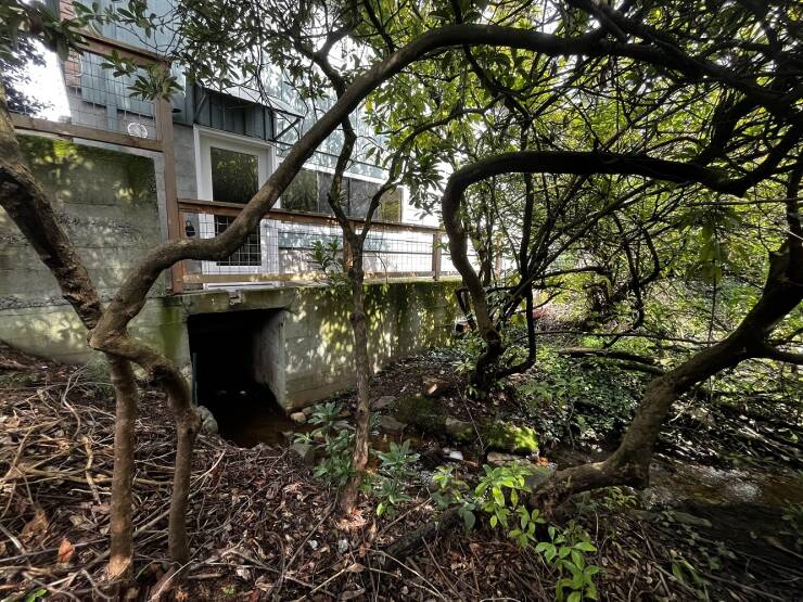 Isn’t It Awesome?!