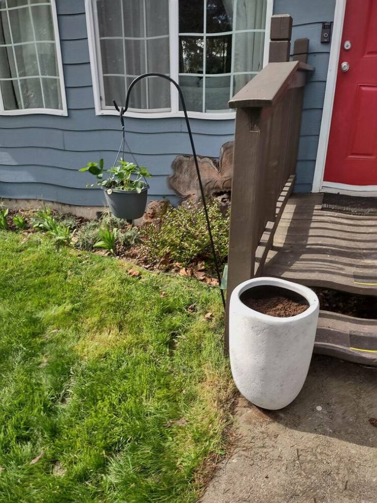 Isn’t It Awesome?!