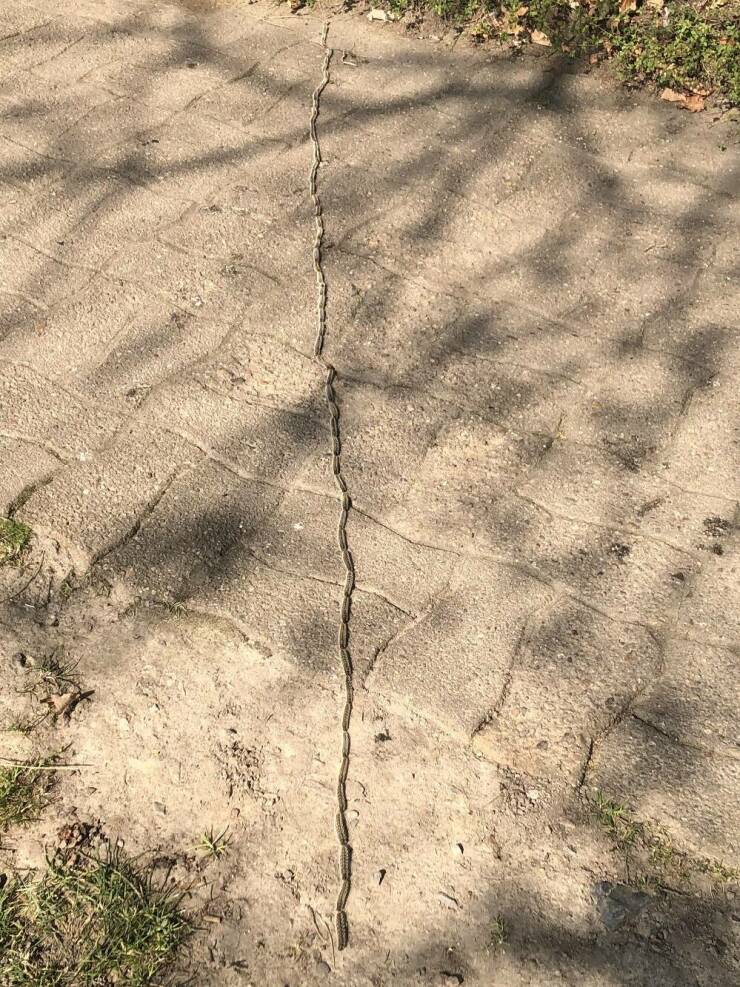 Isn’t It Awesome?!