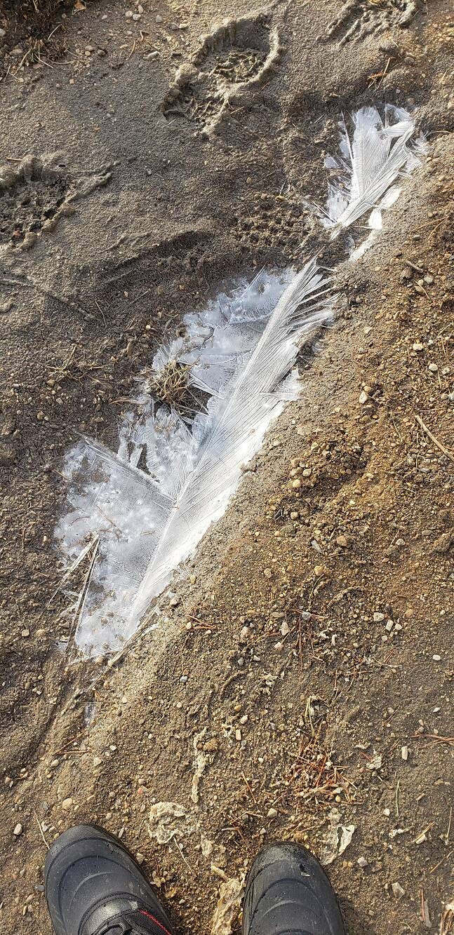 Isn’t It Awesome?!