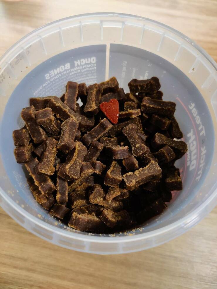 Isn’t It Awesome?!