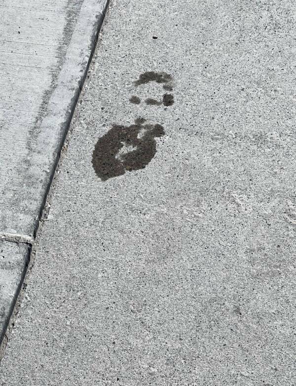 Isn’t It Awesome?!