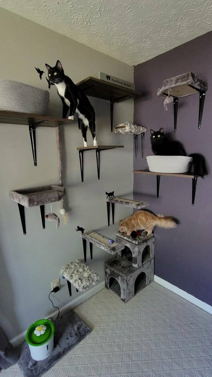 Isn’t It Awesome?!