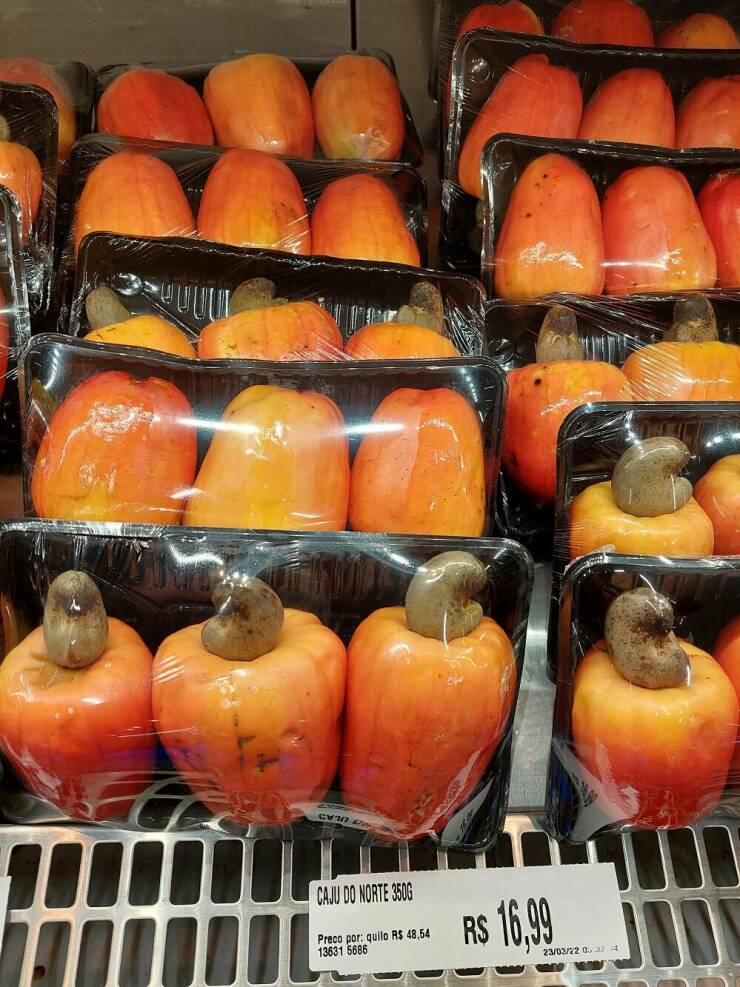 Isn’t It Awesome?!