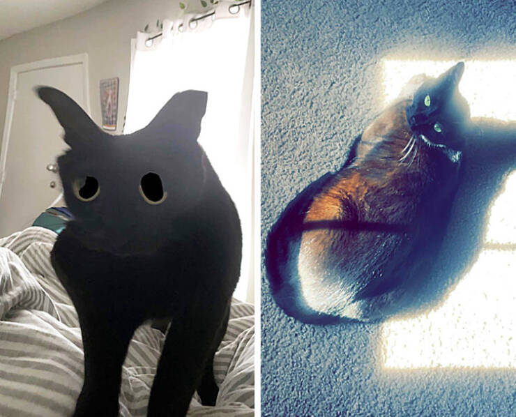 Opposites DO Attract!