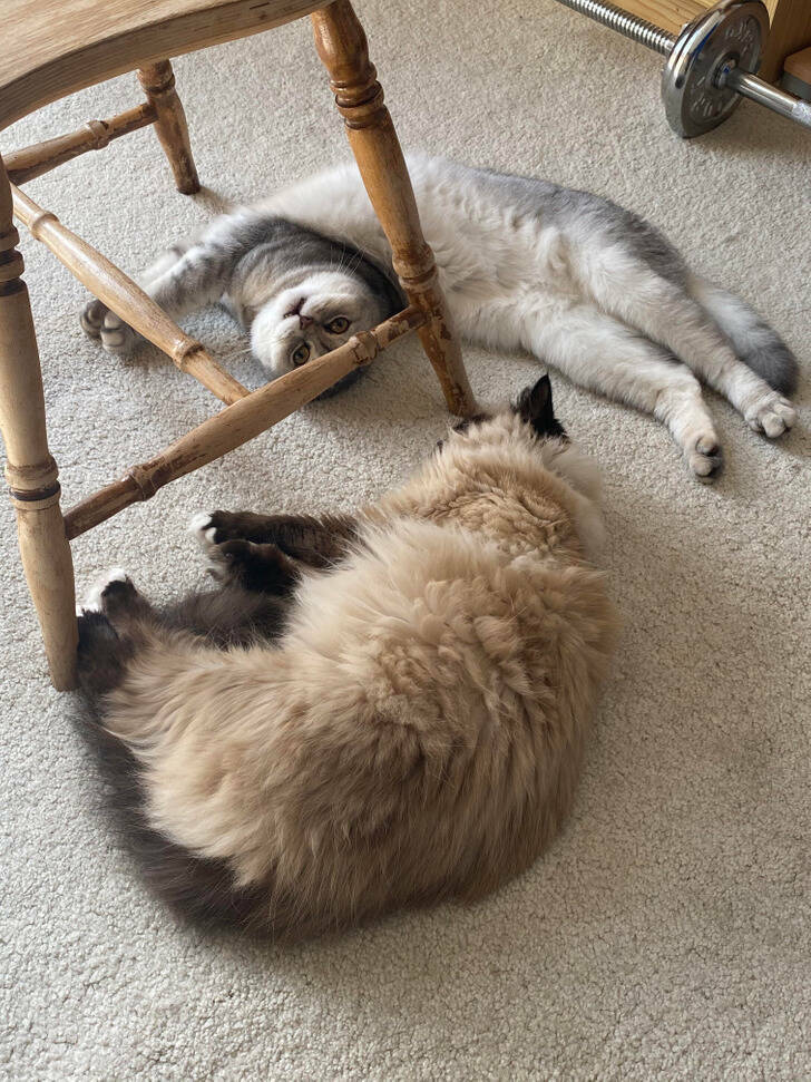 Opposites DO Attract!