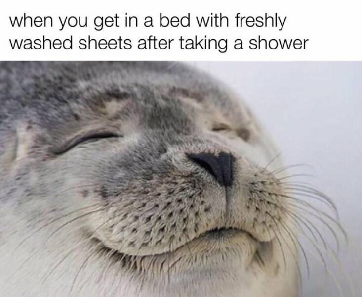 Relax With These Wholesome Memes!