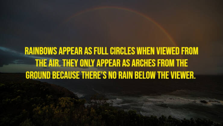 The Randomest Of Facts!