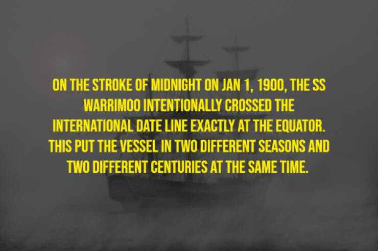 The Randomest Of Facts!