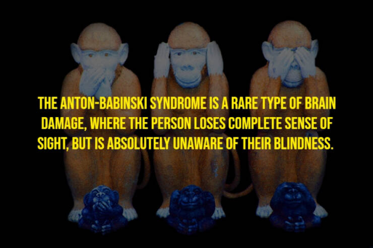 The Randomest Of Facts!