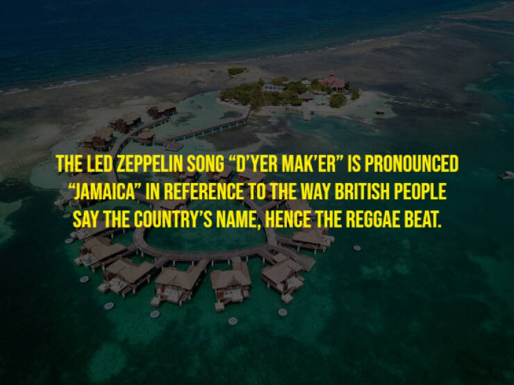 The Randomest Of Facts!