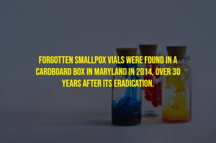 The Randomest Of Facts!