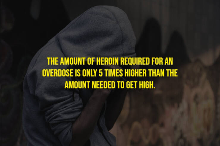 The Randomest Of Facts!