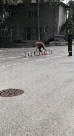 Daily Gifdump