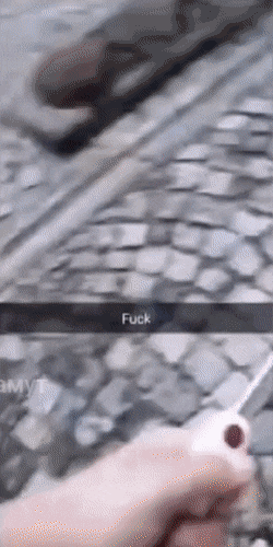 Daily Gifdump