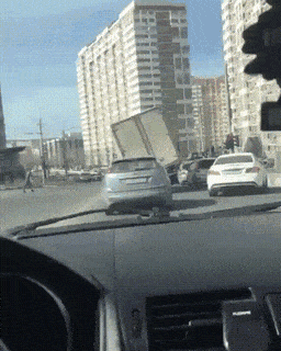 Daily Gifdump