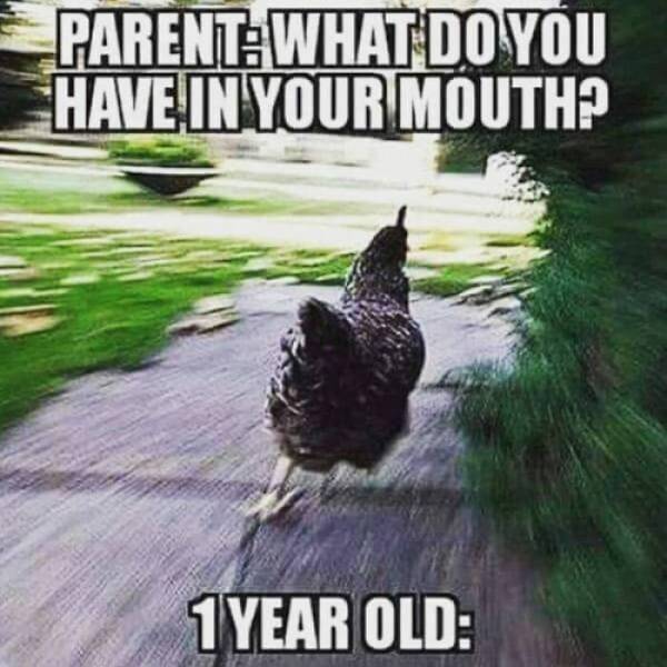 Parental Humor In A Nutshell…