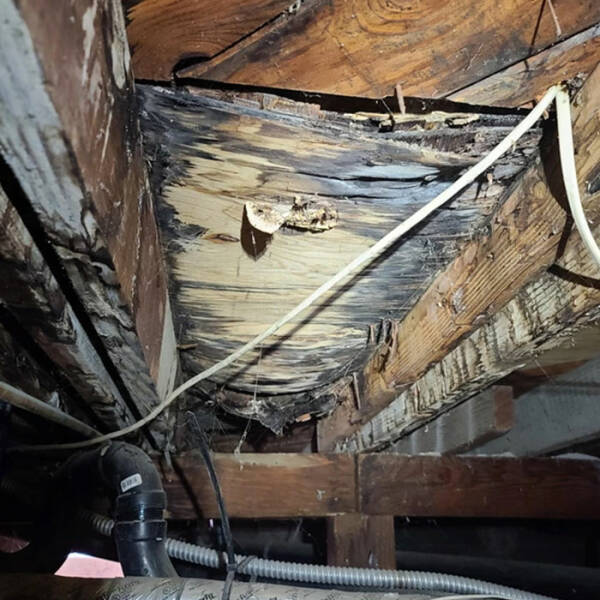 Structural Inspectors Share Their Nightmares