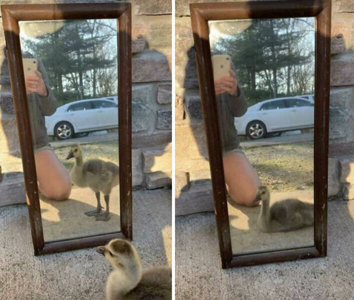 Just Trying To Sell A Mirror…