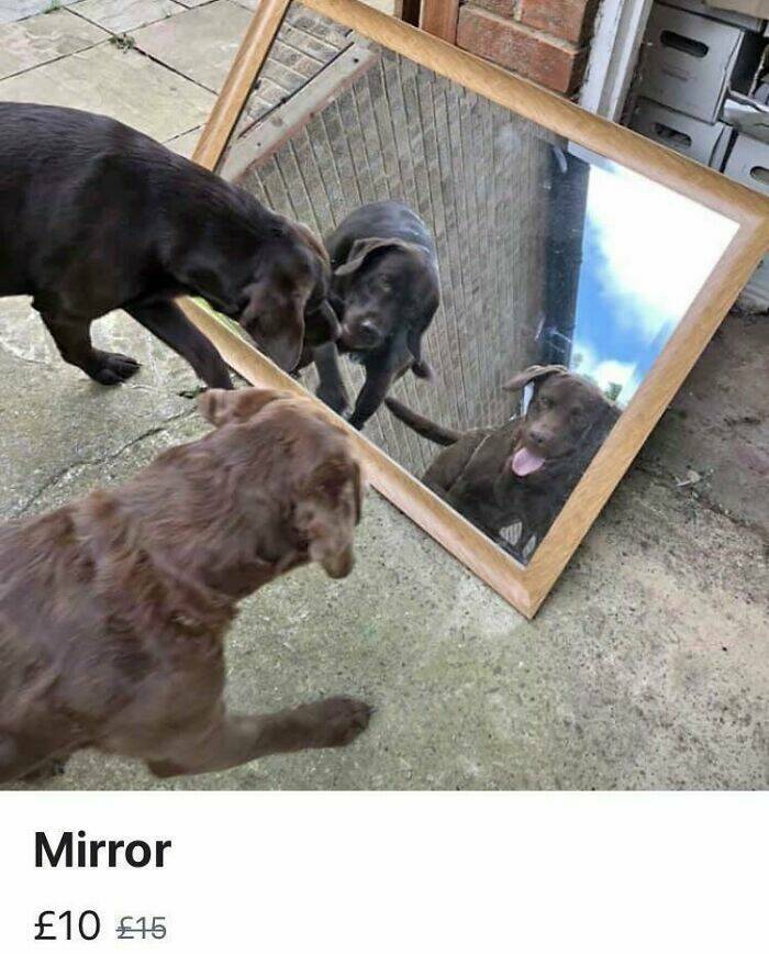 Just Trying To Sell A Mirror…