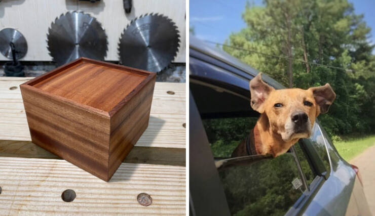 Incredible Woodworking Projects!