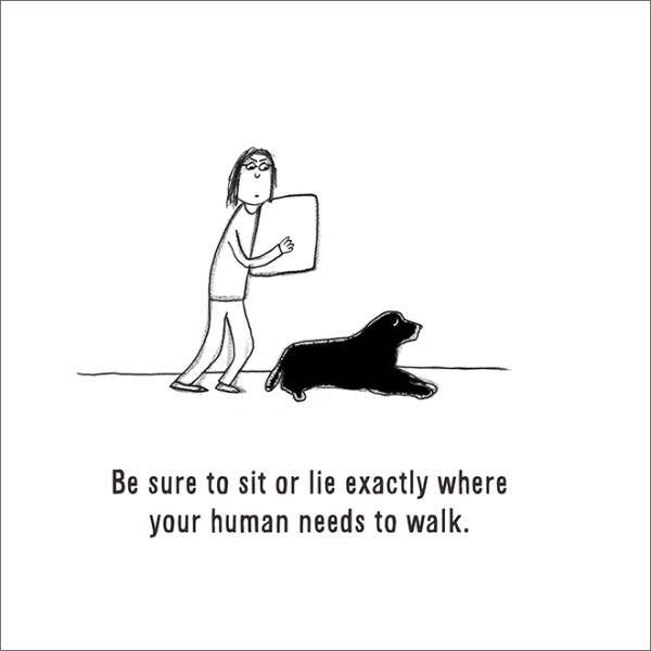 How To Be A Dog…