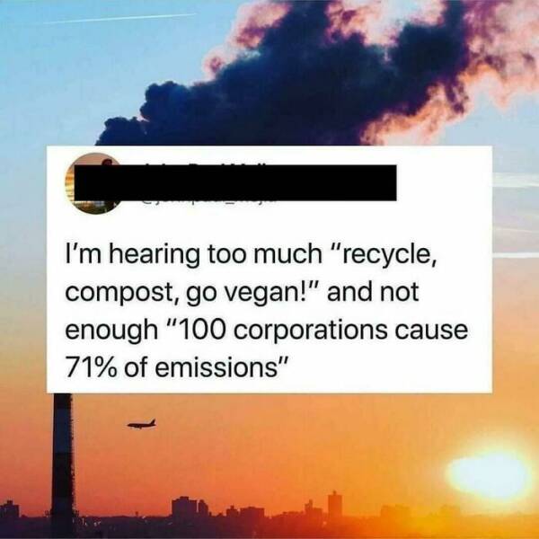 “Solarpunk” Shares Pics And Memes For Those Who Still Care About The Environment