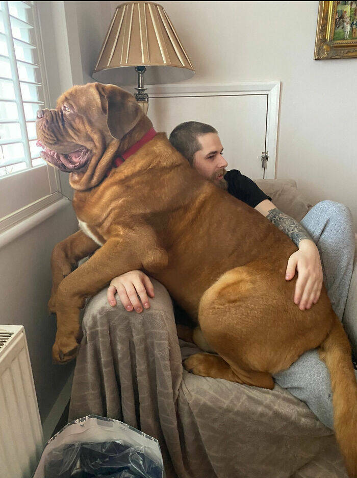That’s An Absolute Unit!