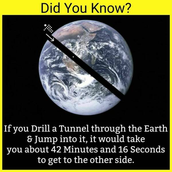 Add More Facts To Your Knowledge Arsenal! (36 PICS) - Izismile.com