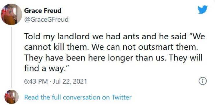 Shaming Toxic Landlords
