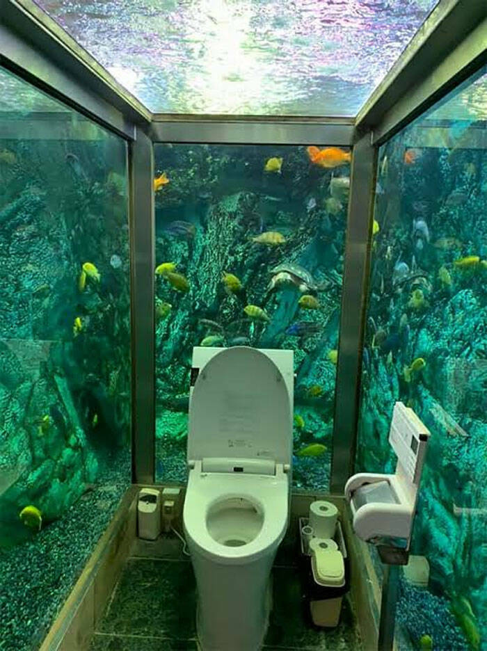 These Are Not Your Normal Bathrooms…