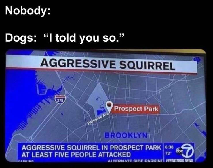 Funny Picdump