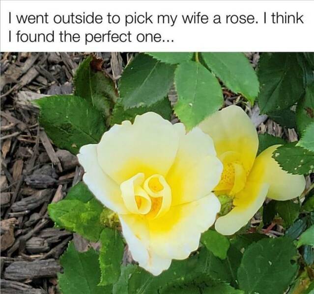 Funny Picdump