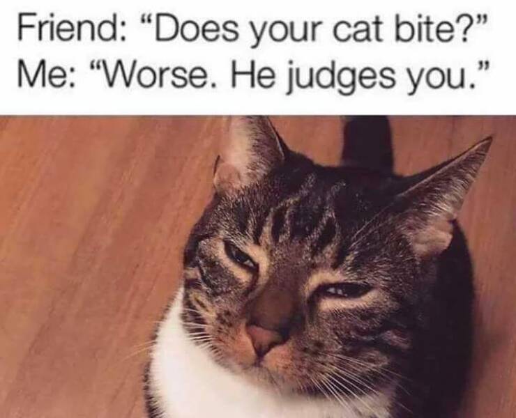 Funny Picdump