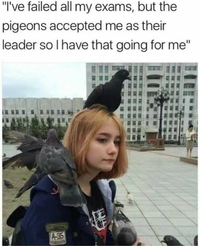 Funny Picdump