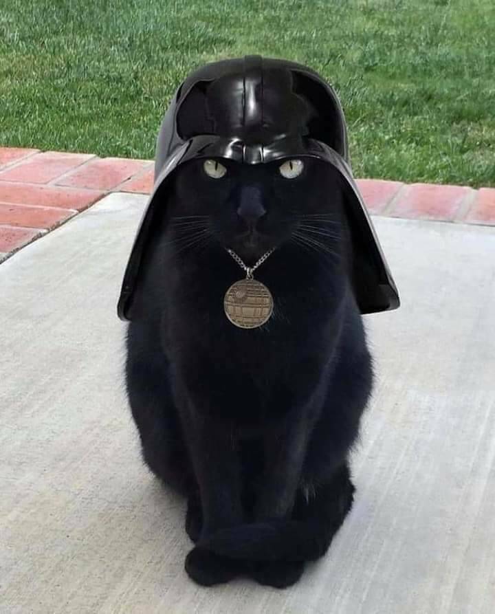 Morning Picdump